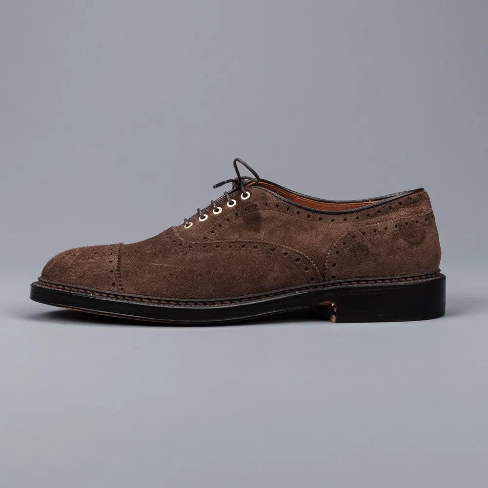 Alden medallion toe 5 eye oxford humus suede