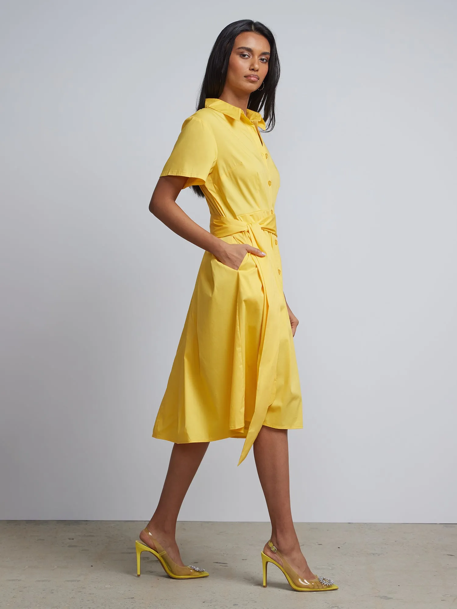 Belted Button-Front Flare Shirtdress