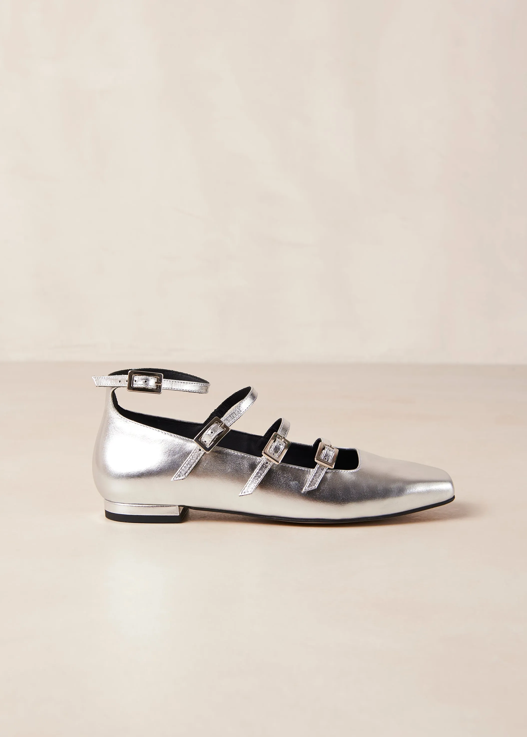 Luke Leather Ballet Flats Shimmer Silver